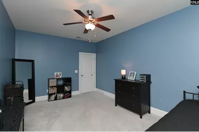 307 Brookridge Drive, Chapin, SC 29036 - Photo 48