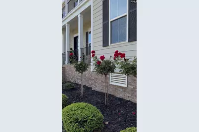 307 Brookridge Drive, Chapin, SC 29036 - Photo 6