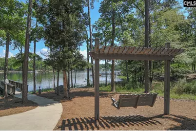 307 Brookridge Drive, Chapin, SC 29036 - Photo 76