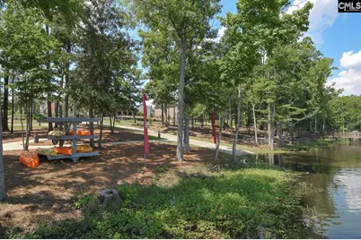 307 Brookridge Drive, Chapin, SC 29036 - Photo 74