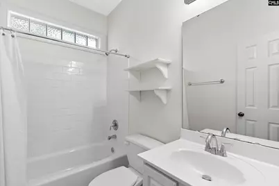 413 Oxenbridge Way, Chapin, SC 29036 - Photo 30