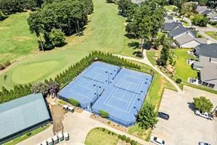 413 Oxenbridge Way, Chapin, SC 29036 - Photo 48