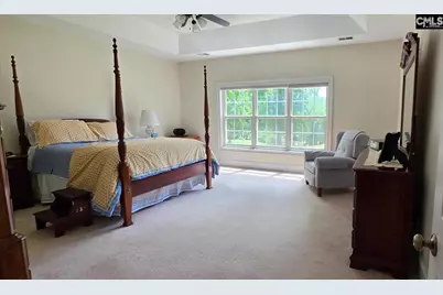 413 Oxenbridge Way, Chapin, SC 29036 - Photo 10