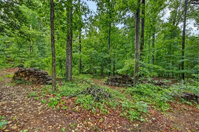 248 Platinum Drive, Lexington, SC 29072 - Photo 38