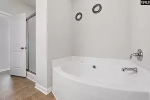 223 Cassique Dr, Lexington, SC 29073 - Photo 18