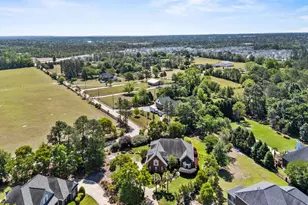 56 Weatherby Ct, Blythewood, SC 29016 - Photo 52
