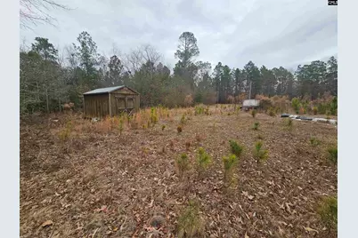 722 Jeff Sharpe Road, Gaston, SC 29053 - Photo 10