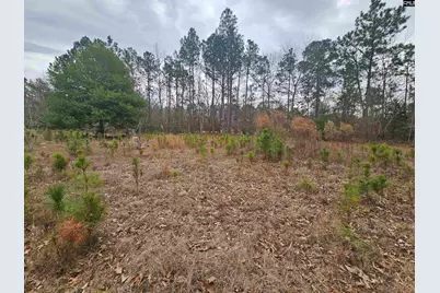 722 Jeff Sharpe Road, Gaston, SC 29053 - Photo 12
