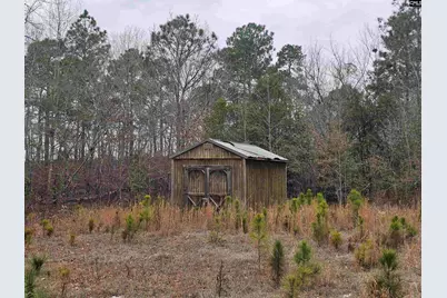 722 Jeff Sharpe Road, Gaston, SC 29053 - Photo 8