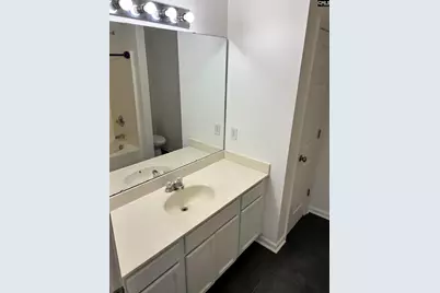 151 Angel Garden Way, Columbia, SC 29223 - Photo 24