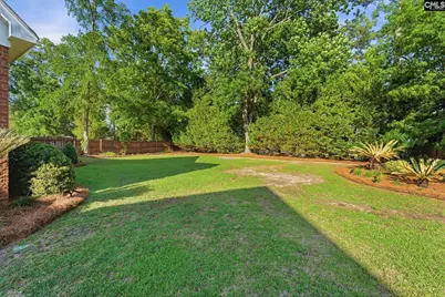 217 Forty Love Point, Chapin, SC 29036 - Photo 46