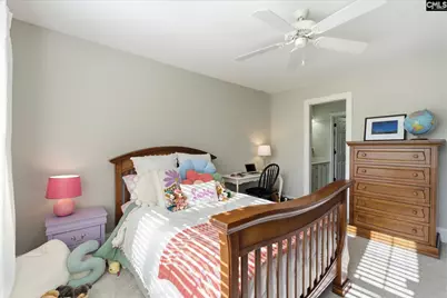 217 Forty Love Point, Chapin, SC 29036 - Photo 38