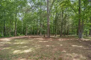 249 Wychwood Rd, Irmo, SC 29063 - Photo 34
