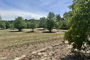 1353 Cheraw Rd, Cassatt, SC 29032 - Photo 1