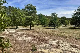 1345 Cheraw Rd, Cassatt, SC 29032 - Photo 1