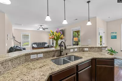 502 Varsity Court, Chapin, SC 29036 - Photo 16
