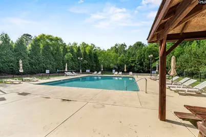 502 Varsity Court, Chapin, SC 29036 - Photo 40