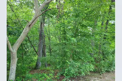 0 River Ridge Road, Columbia, SC 29210 - Photo 2