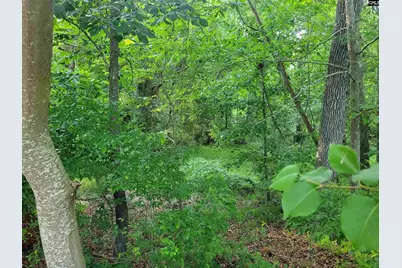 0 River Ridge Road, Columbia, SC 29210 - Photo 16