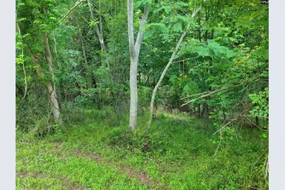 0 River Ridge Road, Columbia, SC 29210 - Photo 12