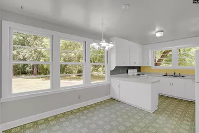 157 Hiller Road, Chapin, SC 29036 - Photo 8