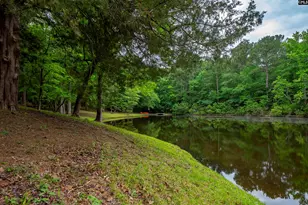 150 Four Foxes Ln, Chapin, SC 29036 - Photo 70