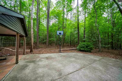 150 Four Foxes Lane, Chapin, SC 29036 - Photo 82