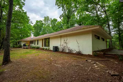 150 Four Foxes Lane, Chapin, SC 29036 - Photo 74