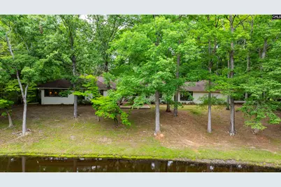 150 Four Foxes Lane, Chapin, SC 29036 - Photo 8