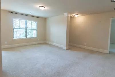 549 Everton Drive, Chapin, SC 29036 - Photo 16