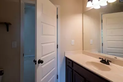 549 Everton Drive, Chapin, SC 29036 - Photo 50