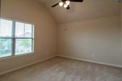 549 Everton Drive, Chapin, SC 29036 - Photo 10
