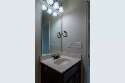 549 Everton Drive, Chapin, SC 29036 - Photo 24