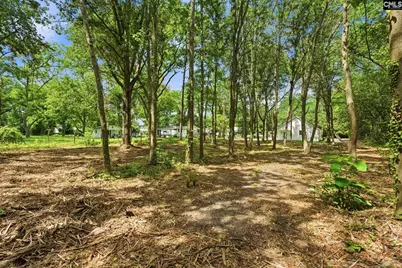 125 S East Avenue, Leesville, SC 29070 - Photo 36