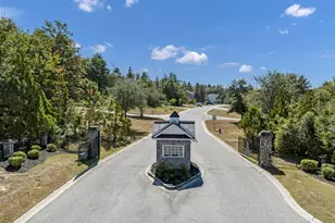 616 Rose Quartz Ln, Lexington, SC 29073 - Photo 46