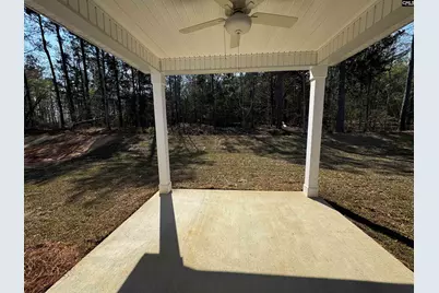 598 Griffon Drive, Chapin, SC 29036 - Photo 2