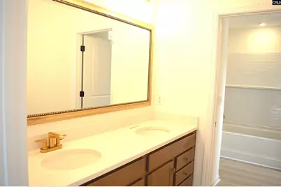 316 Conductor Lane, Irmo, SC 29063 - Photo 20