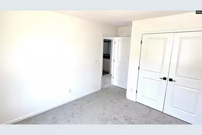 316 Conductor Lane, Irmo, SC 29063 - Photo 20