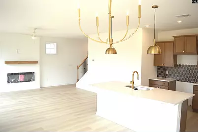 316 Conductor Lane, Irmo, SC 29063 - Photo 10