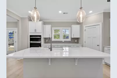 20 Elk Run Court, Chapin, SC 29036 - Photo 6