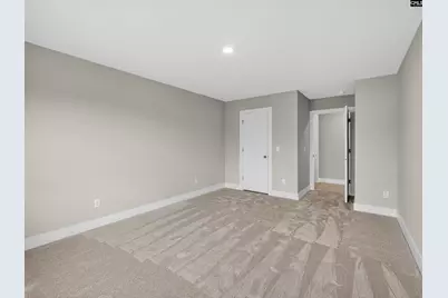 20 Elk Run Court, Chapin, SC 29036 - Photo 34