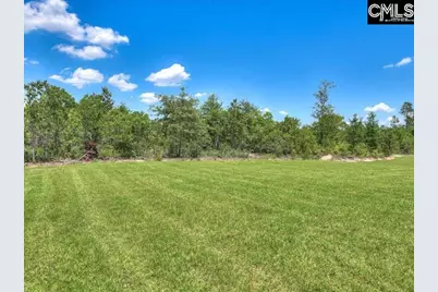 618 Old Charleston Road, Pelion, SC 29123 - Photo 30