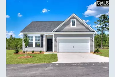 644 Old Charleston Road, Pelion, SC 29123 - Photo 1