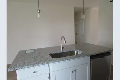 575 Griffon Drive, Chapin, SC 29036 - Photo 6