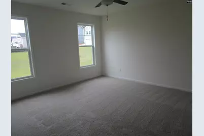 575 Griffon Drive, Chapin, SC 29036 - Photo 10