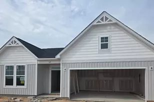 614 Old Charleston Rd, Pelion, SC 29123 - Photo 1
