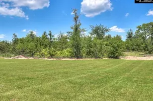 614 Old Charleston Rd, Pelion, SC 29123 - Photo 40