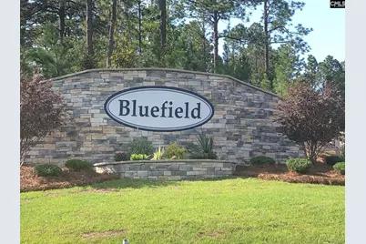 3519 Stedding Place, Lexington, SC 29073 - Photo 2