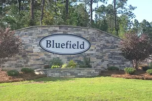 3519 Stedding Pl, Lexington, SC 29073 - Photo 2