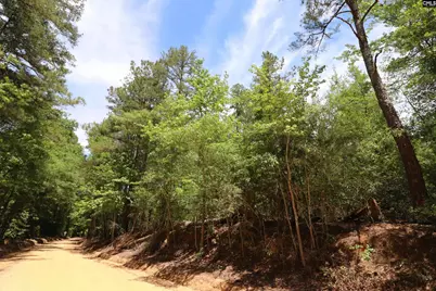 1091 Pine Grove Road, Leesville, SC 29070 - Photo 18